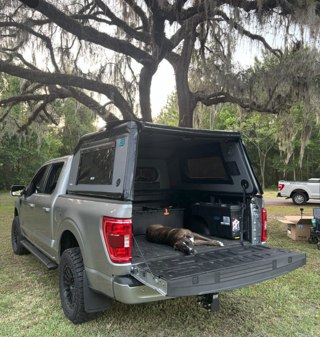 Inflatable Portable Canopy